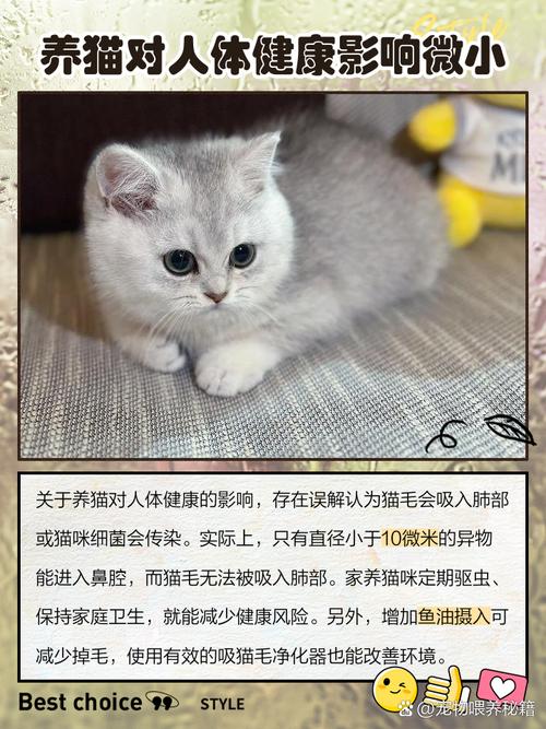 家里养多只猫会对家居风水产生怎样的影响呢？