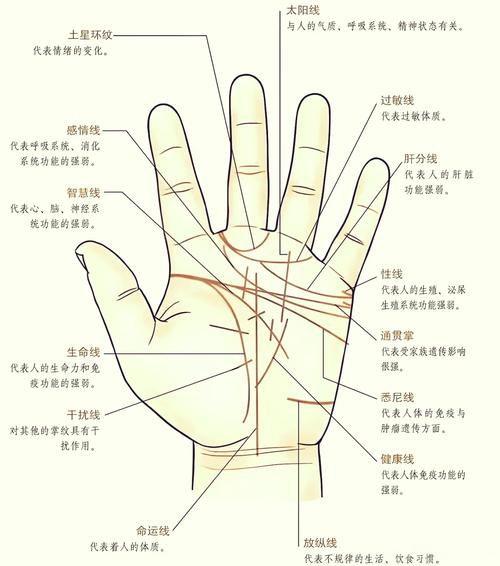 手相烂是否预示着什么命运？通过手相能否诊断出疾病？