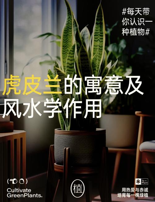 这辆车子的风水适合种植植物吗？