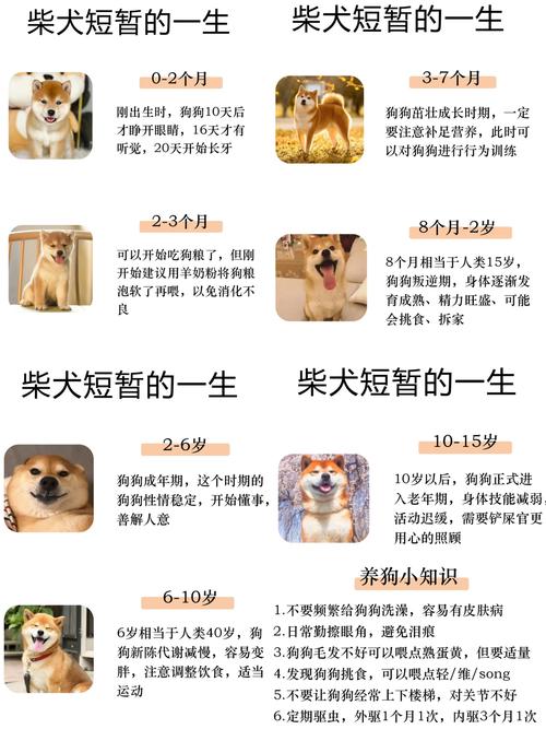 木狗之命是什么命格？桑松木命能否改命？