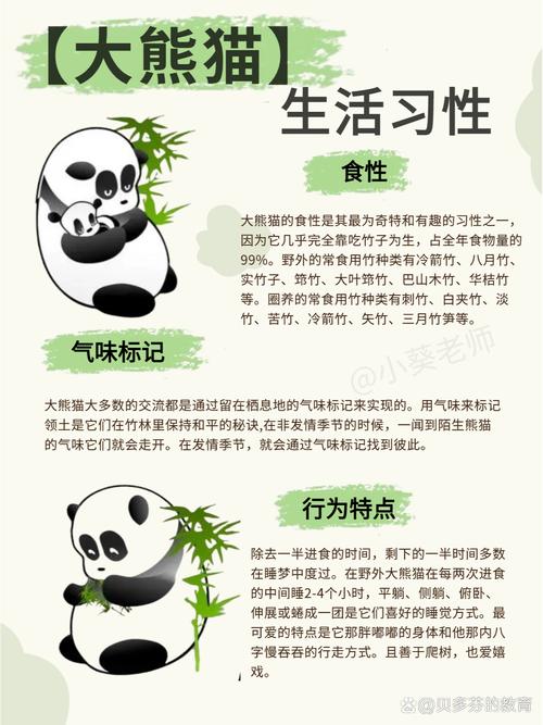 关于熊猫在风水学中究竟有哪些独特的说法，您是否有所了解？