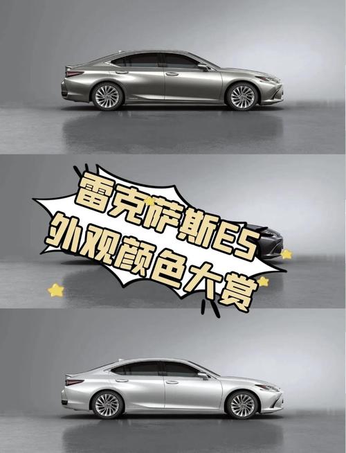 水命购车应选哪种颜色车型？