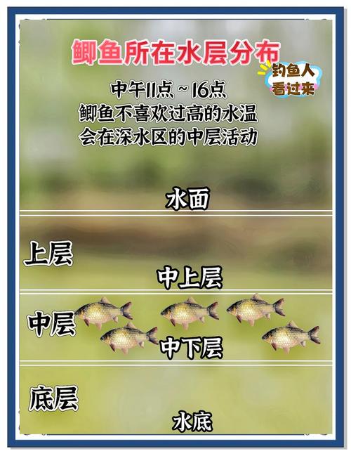 哪个命格最适合钓鱼，能吸引鱼类，在十大命格中排名最高？