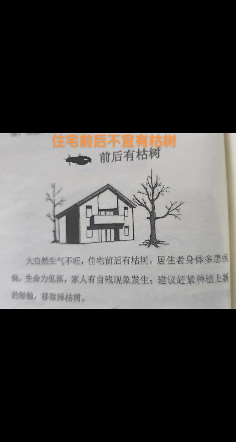房屋附近枯树对风水有影响吗？