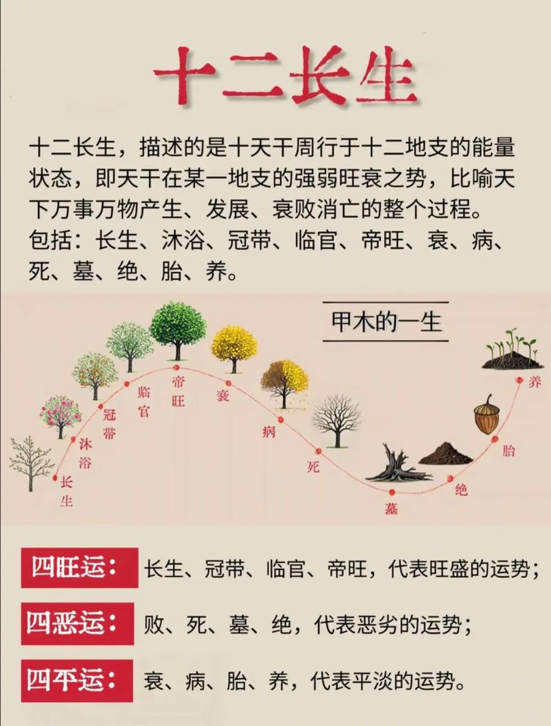 中午12点出生的男孩命运如何，是不是特别吉祥？