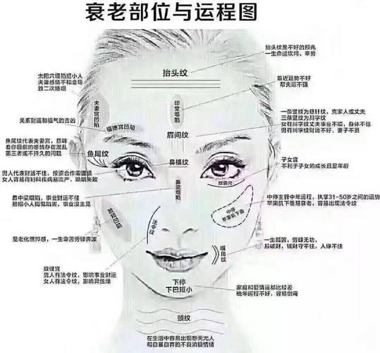 什么样的脸型决定命运，哪种脸型命最好呢？