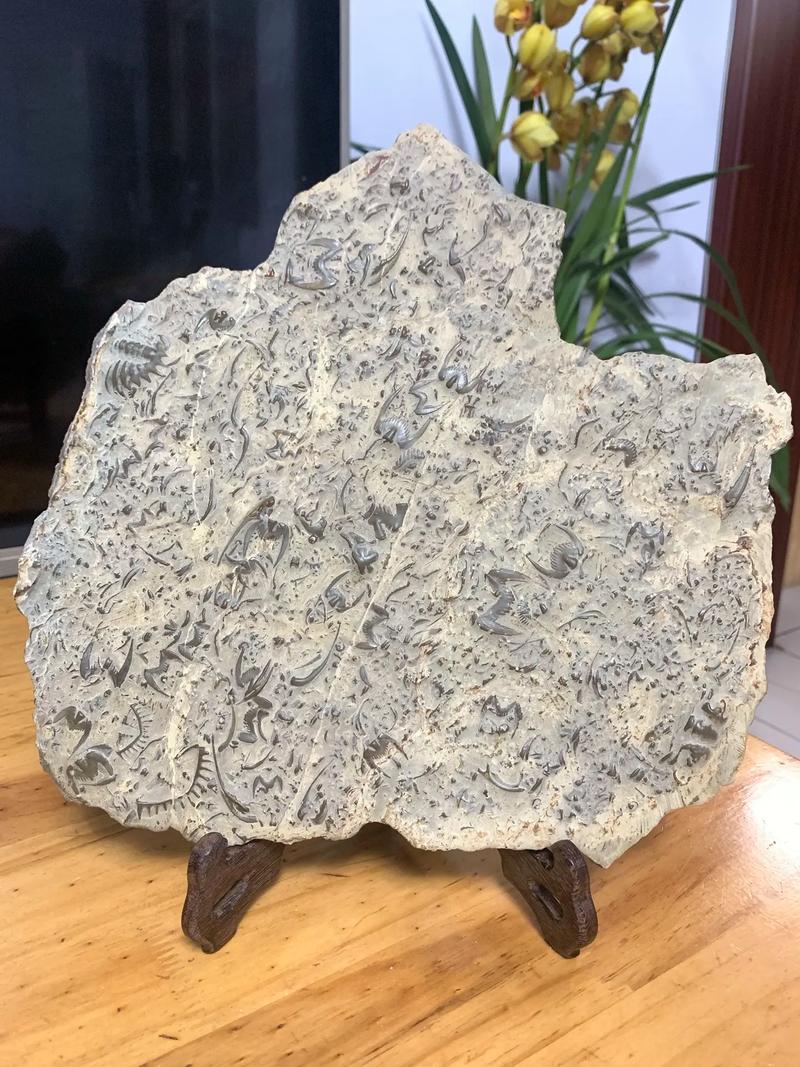 燕子石化石在风水上真的嫩起到作用吗？