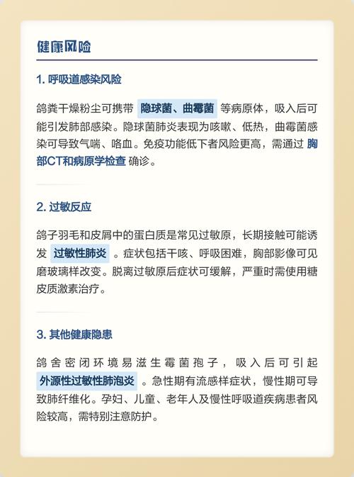 养鸽子风水上有哪些讲究和注意事项？
