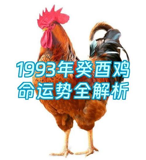 93年属鸡剑锋金命的人缺少什么？