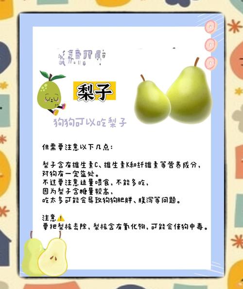 狗可以吃风水梨吗？这种梨对狗狗来说有毒吗？