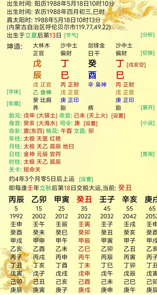 请问丁巳己酉癸未是什么命，癸巳年指的是哪一年呢？