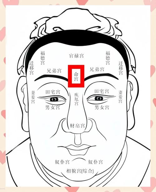 面相入门基础知识中，哪些面相特征预示着适合做官的命运？
