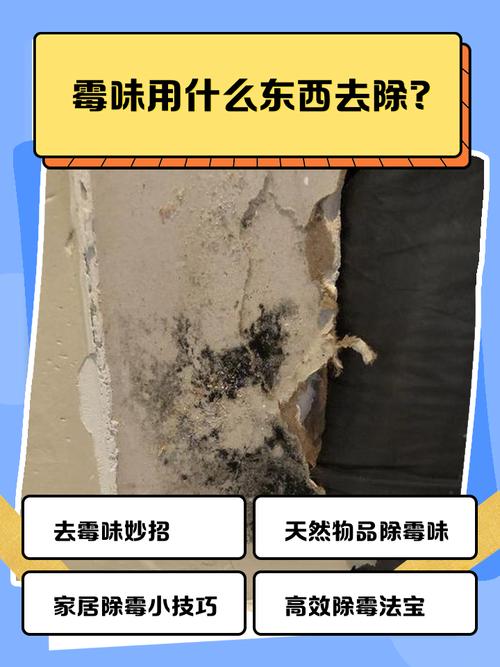 房间有霉味的风水问题该如何解决？