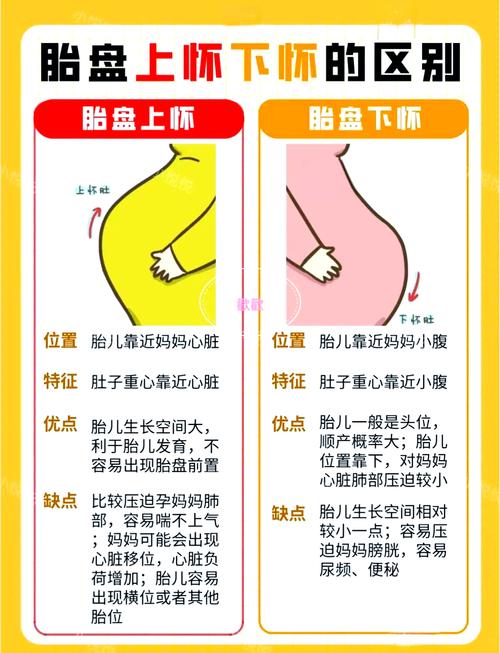 命盘里哪个符号代表生育？胎盘位于宫底壁是上怀还是下怀？