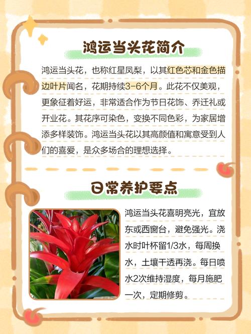 风水花可依随意梗换不同品种吗？