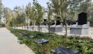 风水极佳的墓地价格是否会相对较高？