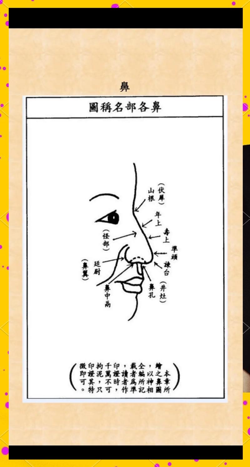 鼻子在风水上对女生有何影响？