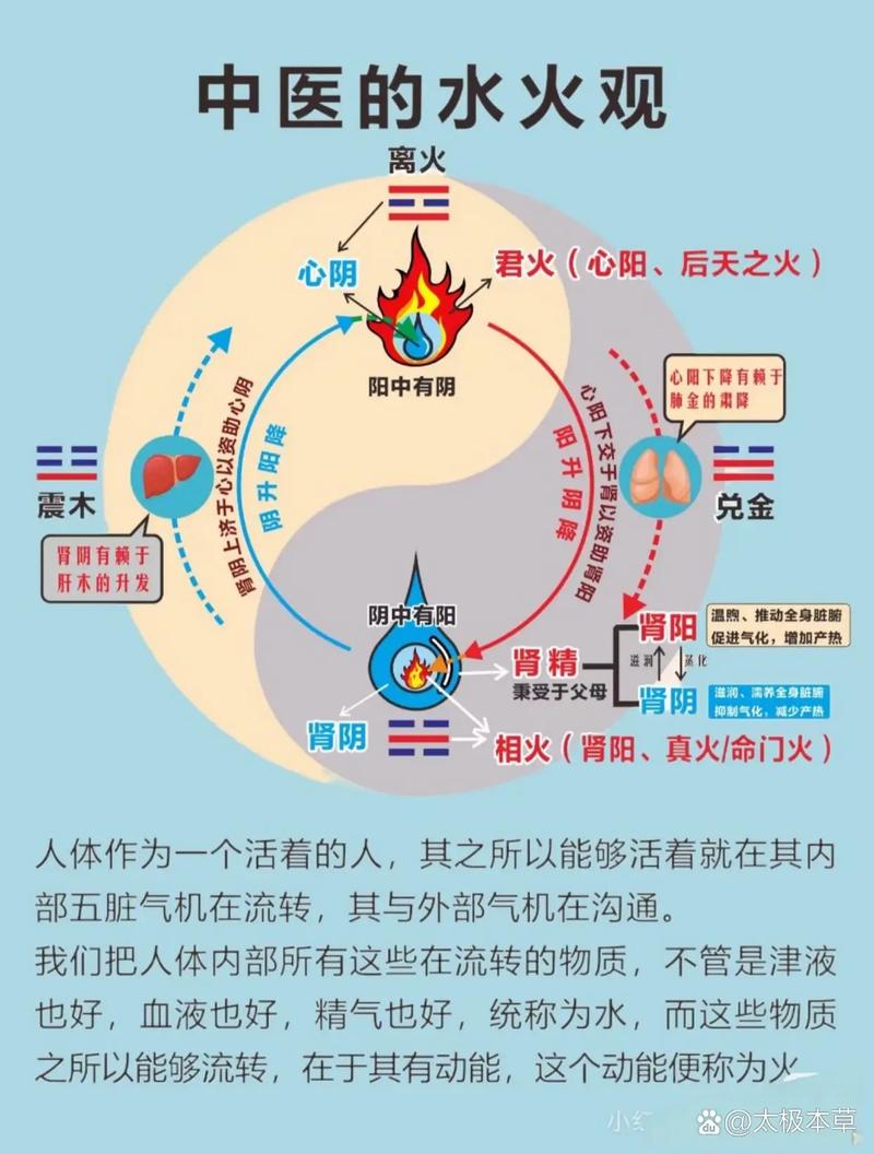 八字火命水太旺会有哪些表现？水旺容易导致哪些疾病？