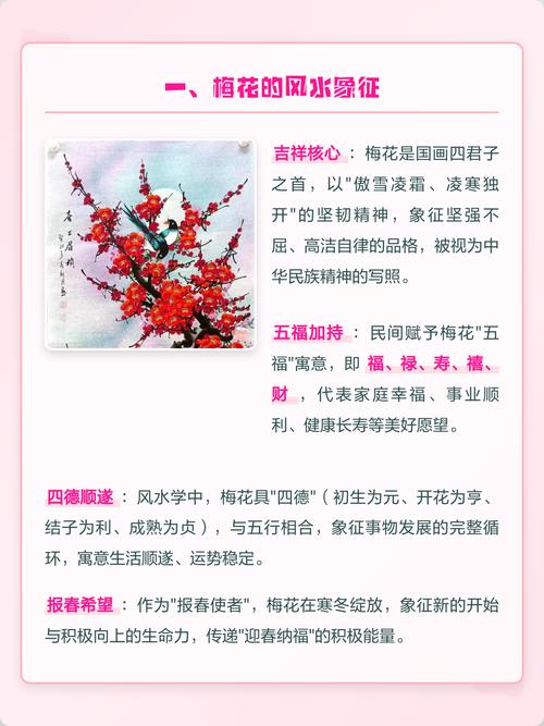 梅花在风水布局中扮演着怎样的角色？