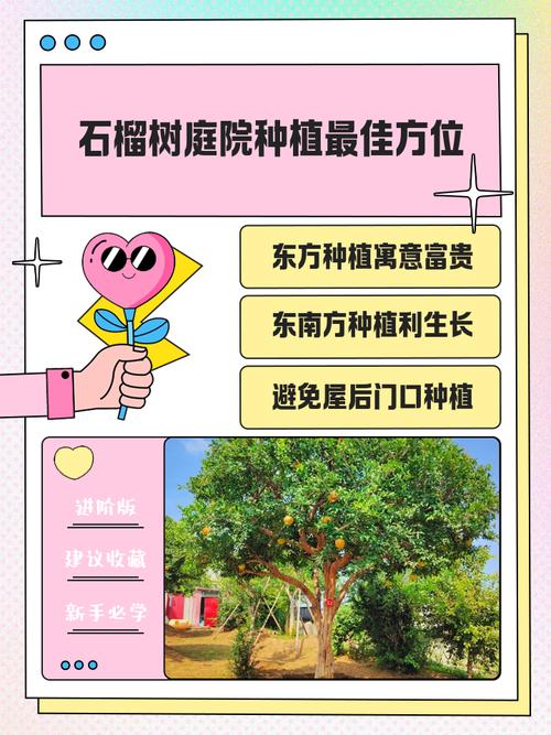 这个位置可以种植大树吗？这样的风水环境好吗？