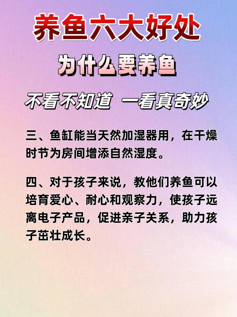 养鱼真的能改善风水吗？这是不是一种流传已久的说法呢？