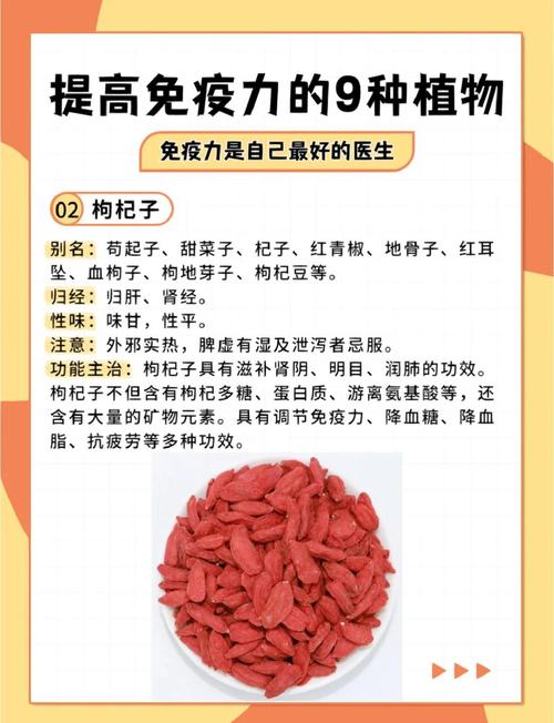 有哪些中药材可依增强睡眠、提高男性免疫力？