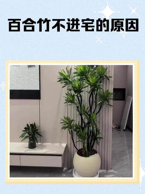 楼下植物被砍后，会对家中的风水产生怎样的影响呢？