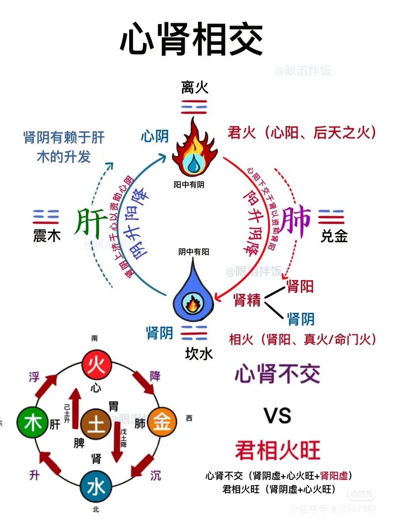 家庭风水与肾病之间是否存在关联？