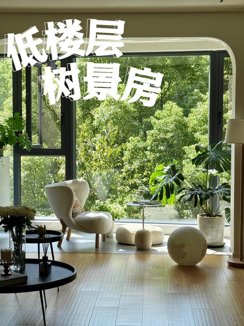 窗户反射树影对家居风水有影响吗？