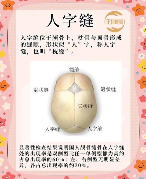 额骨中间有条缝的人命运如何？额骨在哪个部位可以修改成？