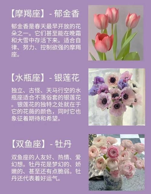 种什么花适合花女命，花女命的含义是什么？