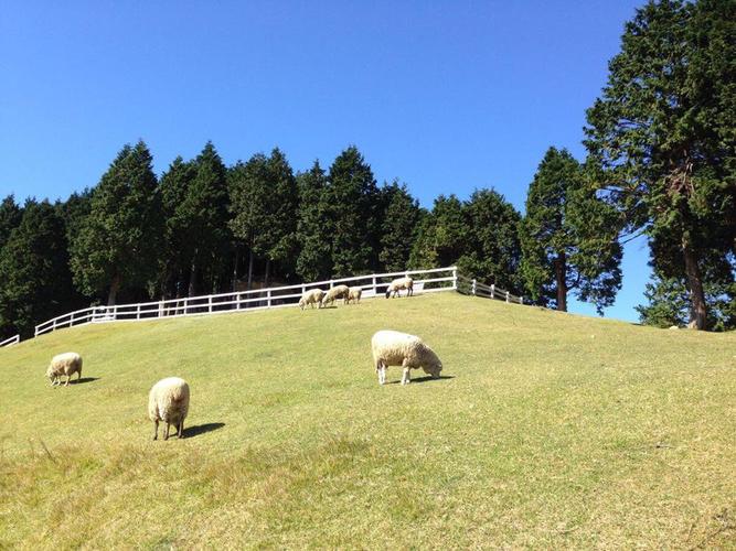 风水与牧场之间是否存在某种关联性？