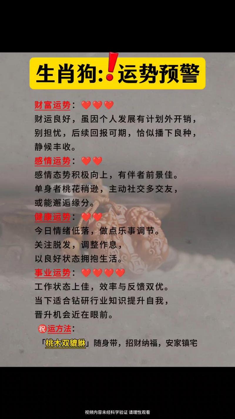 1982年属狗的人命运如何，做什么生意最合适？