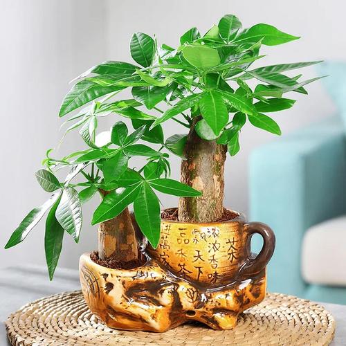 卧室摆放风水冰箱是否合适？