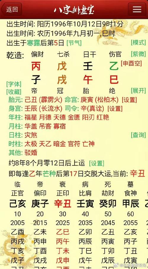 请问丙子年戊戌月是什么命？这是哪种命理？