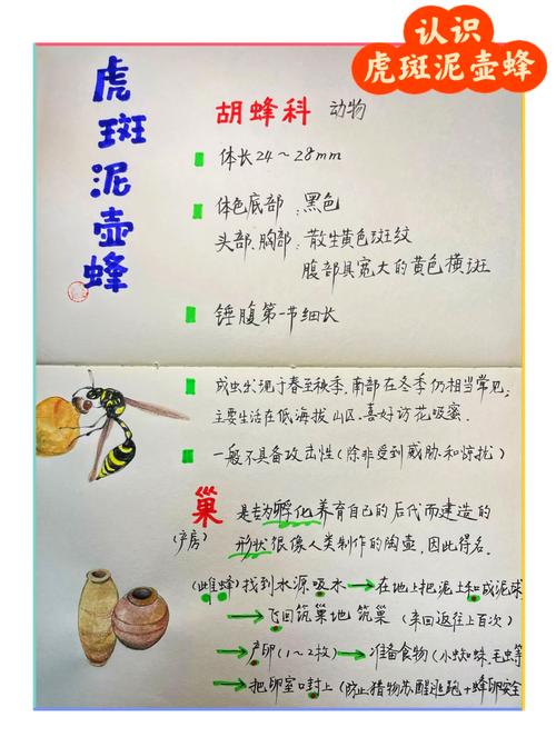 家里养蜂会对风水产生怎样的影响呢？