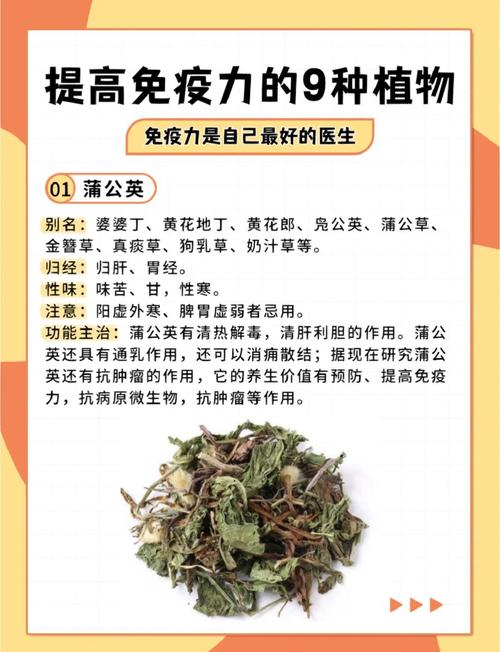 有哪些中药材可以增强睡眠、提高男性免疫力？