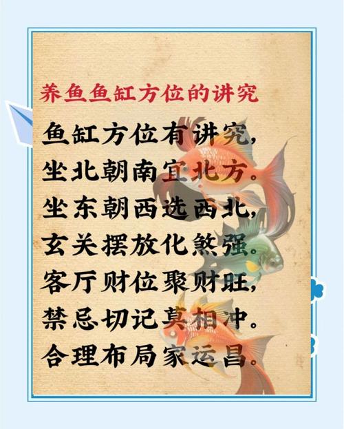 小鱼缸摆放位置是否符合风水讲究，有什么讲究和注意事项？