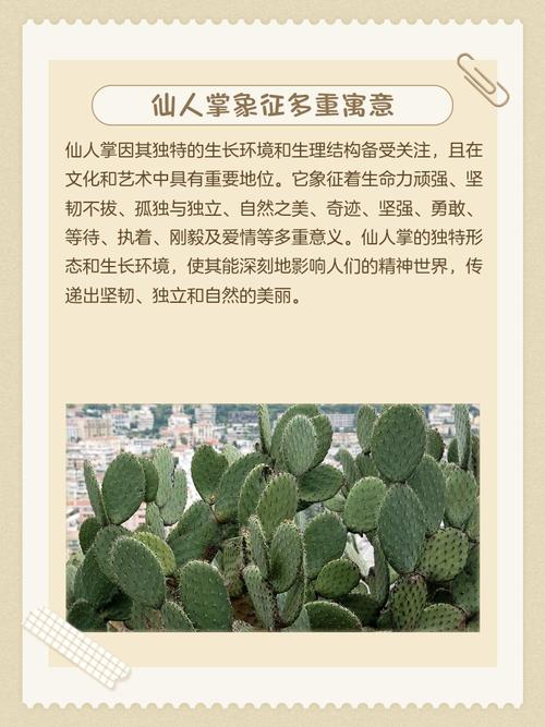 仙人掌对风水有怎样的影响或作用？