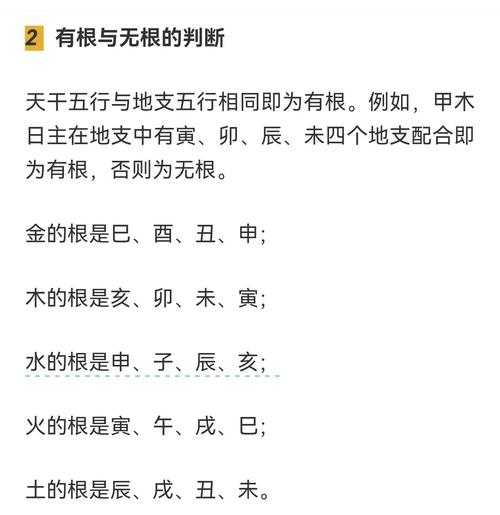 命里财星无根，日主身弱无依，这命运是否缺乏稳固根基？