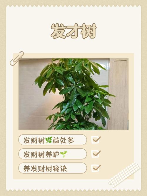 2026年农历正月三十3月18日适合栽树吗？