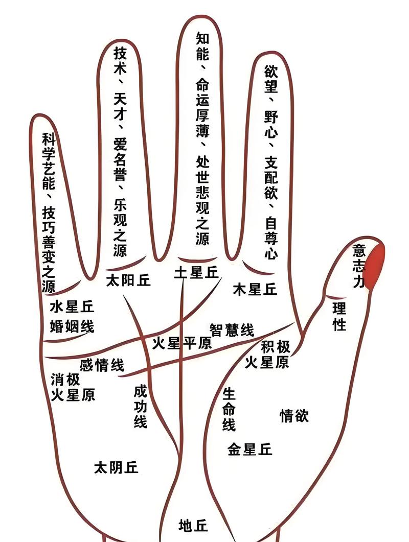 什么是强命线以及命强是什么意思？