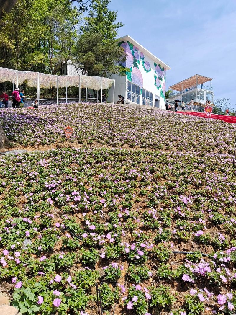 桂林尧山是否被誉为风水宝地，其地理位置和环境有何独特之处？