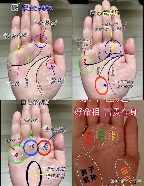 手相中劳碌命特征：事业线杂乱、感情线短、生命线曲折；享福命特征：事业线清晰、感情线长、生命线平稳。如何通过手相改写为老来享福？