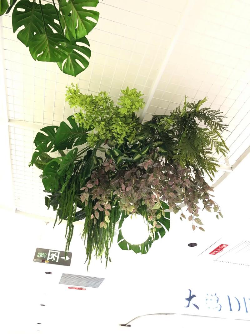 假植物吊顶会对家居风水产生怎样的影响呢？