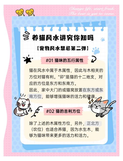 什么命格不宜养猫狗？猫适合哪种五行的人来养？