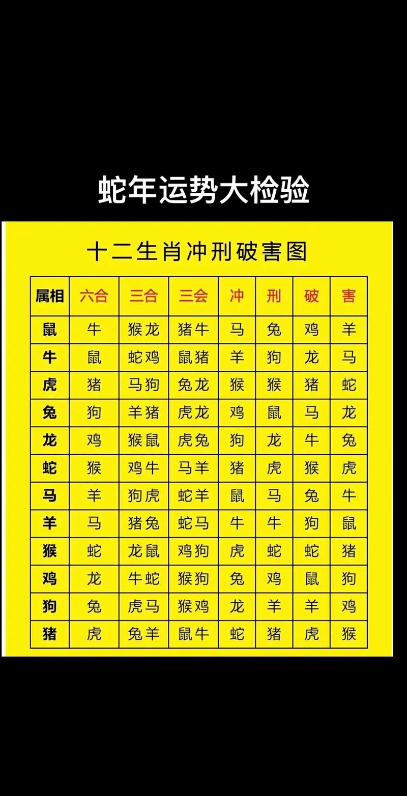 丁命是属蛇，辛命是属猪，辛是属什么生肖？