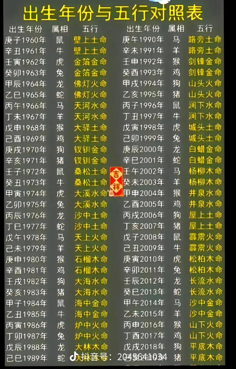 1995年己亥年出生的人是什么命？