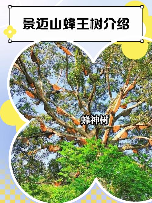 树下养蜂风水适宜吗？