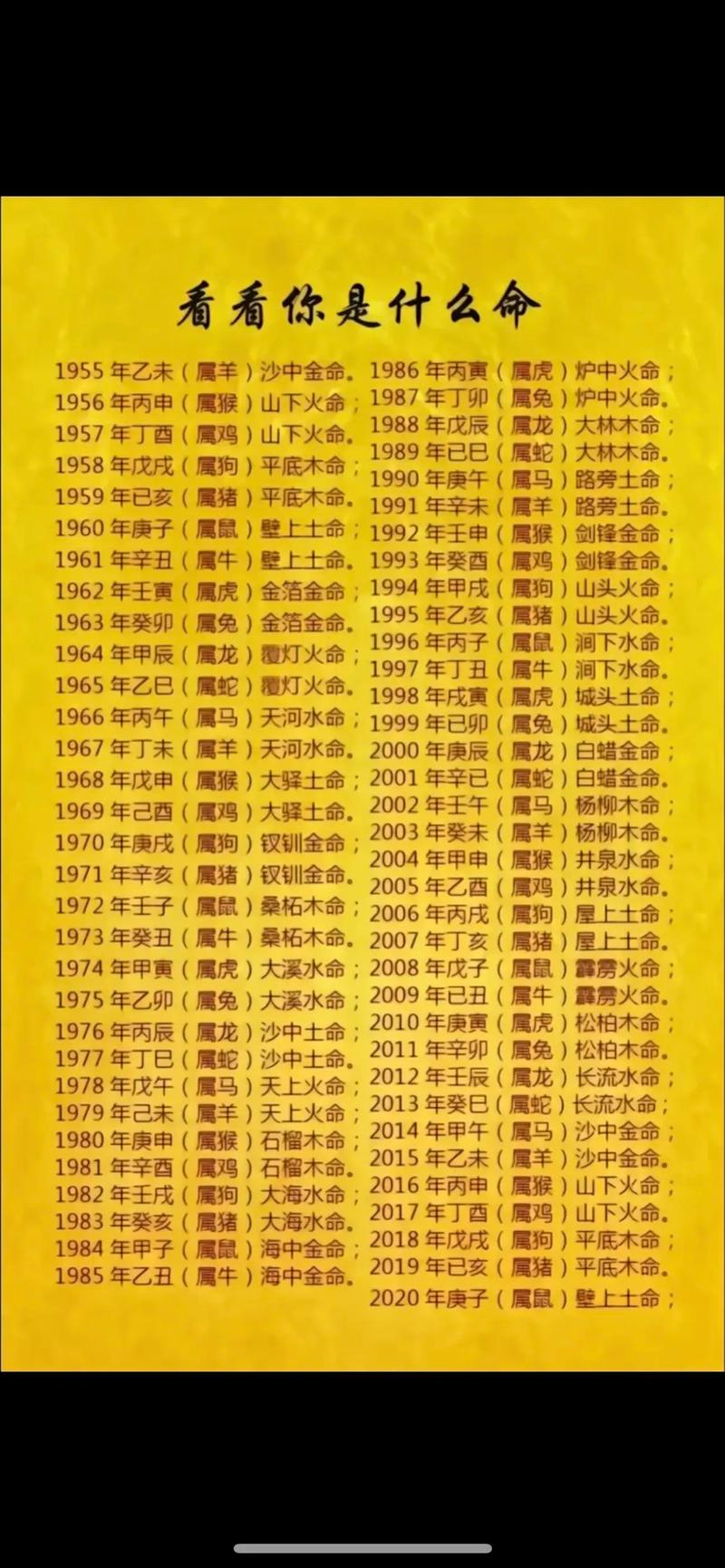 农历1995404是什么命？能否告诉我对应的命理特点？